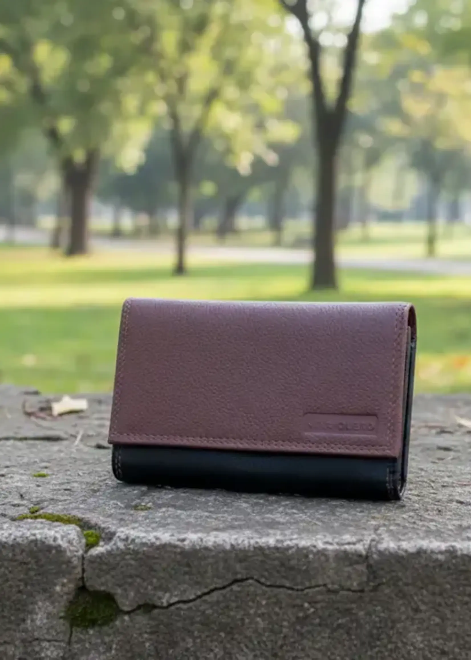 Alta Quero AQ 104 Leather RIFD Wallet