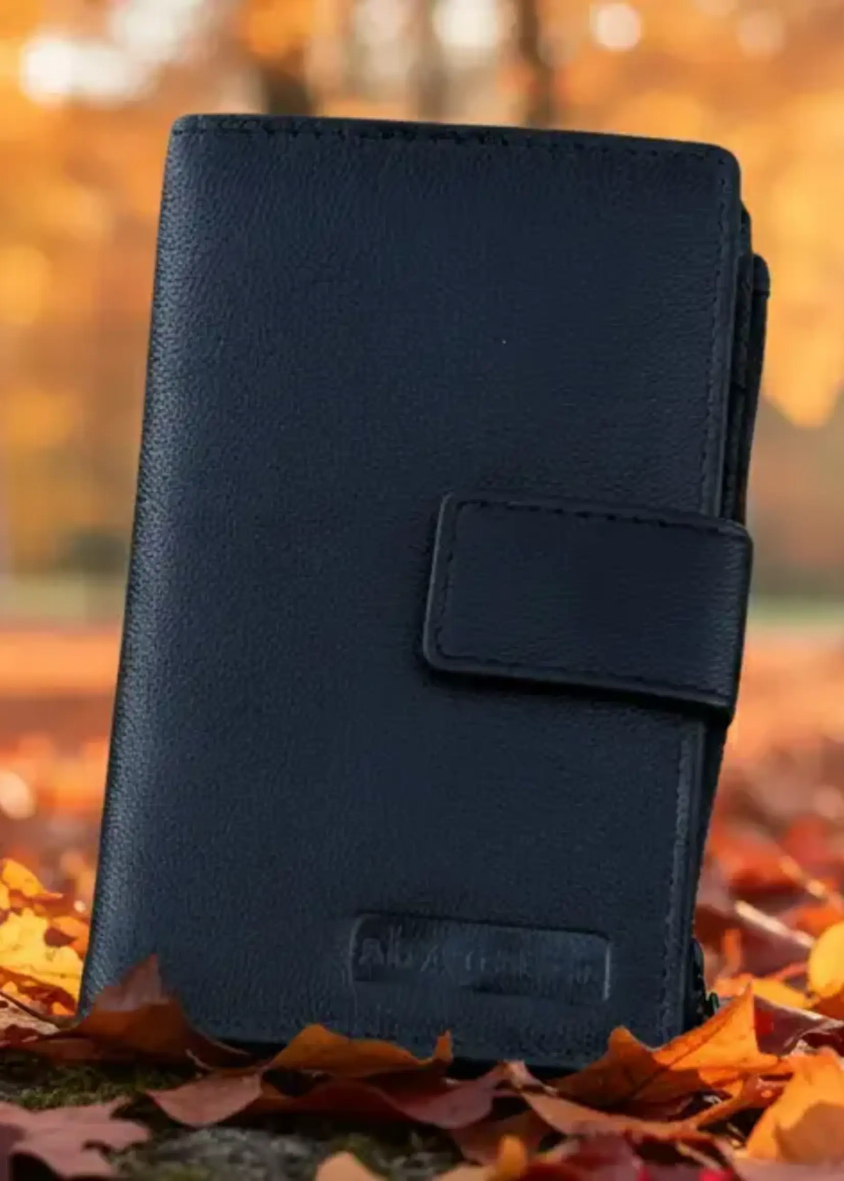 Alta Quero AQ 110 Leather RIFD Wallet