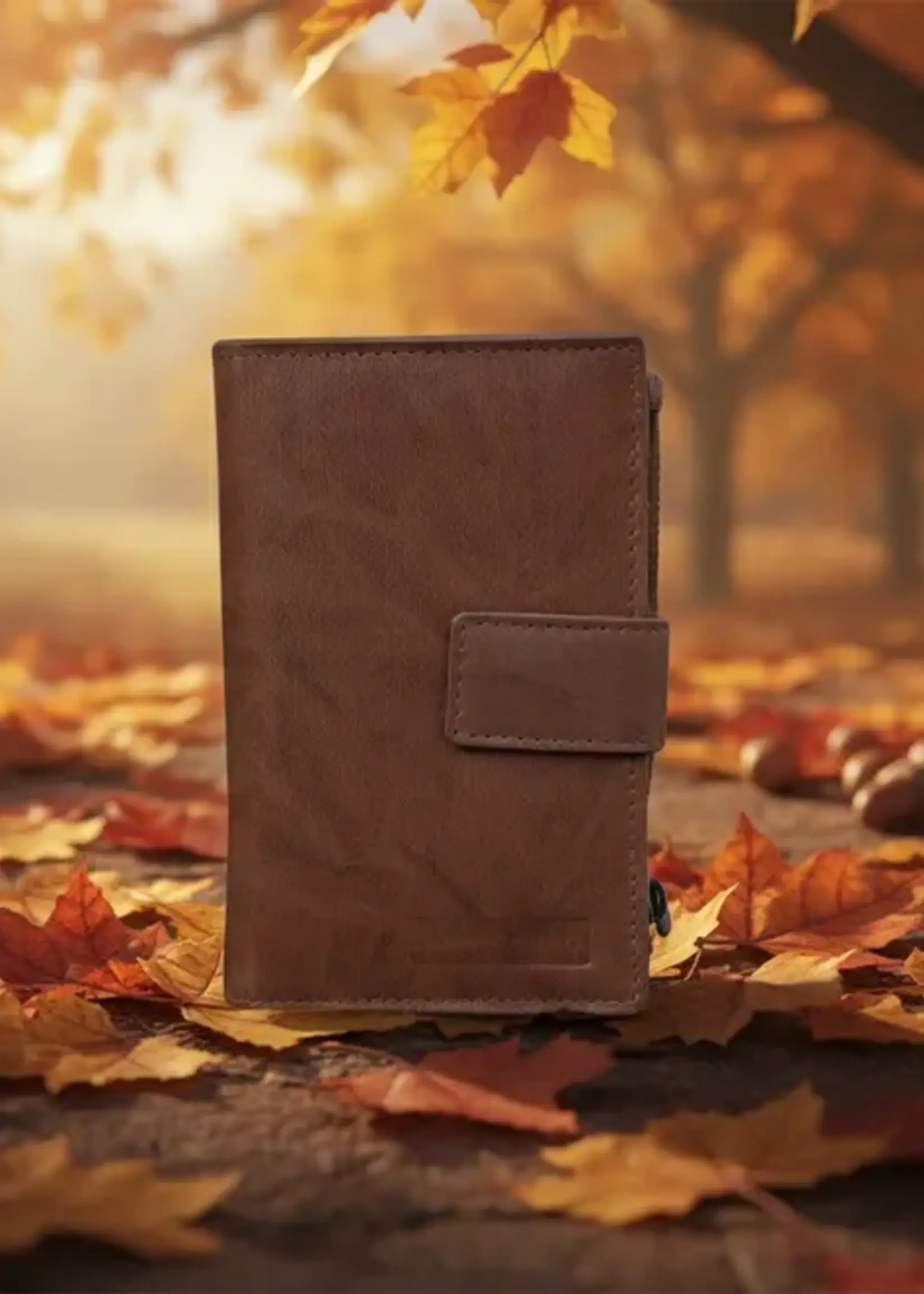 Alta Quero AQ 110 Leather RIFD Wallet
