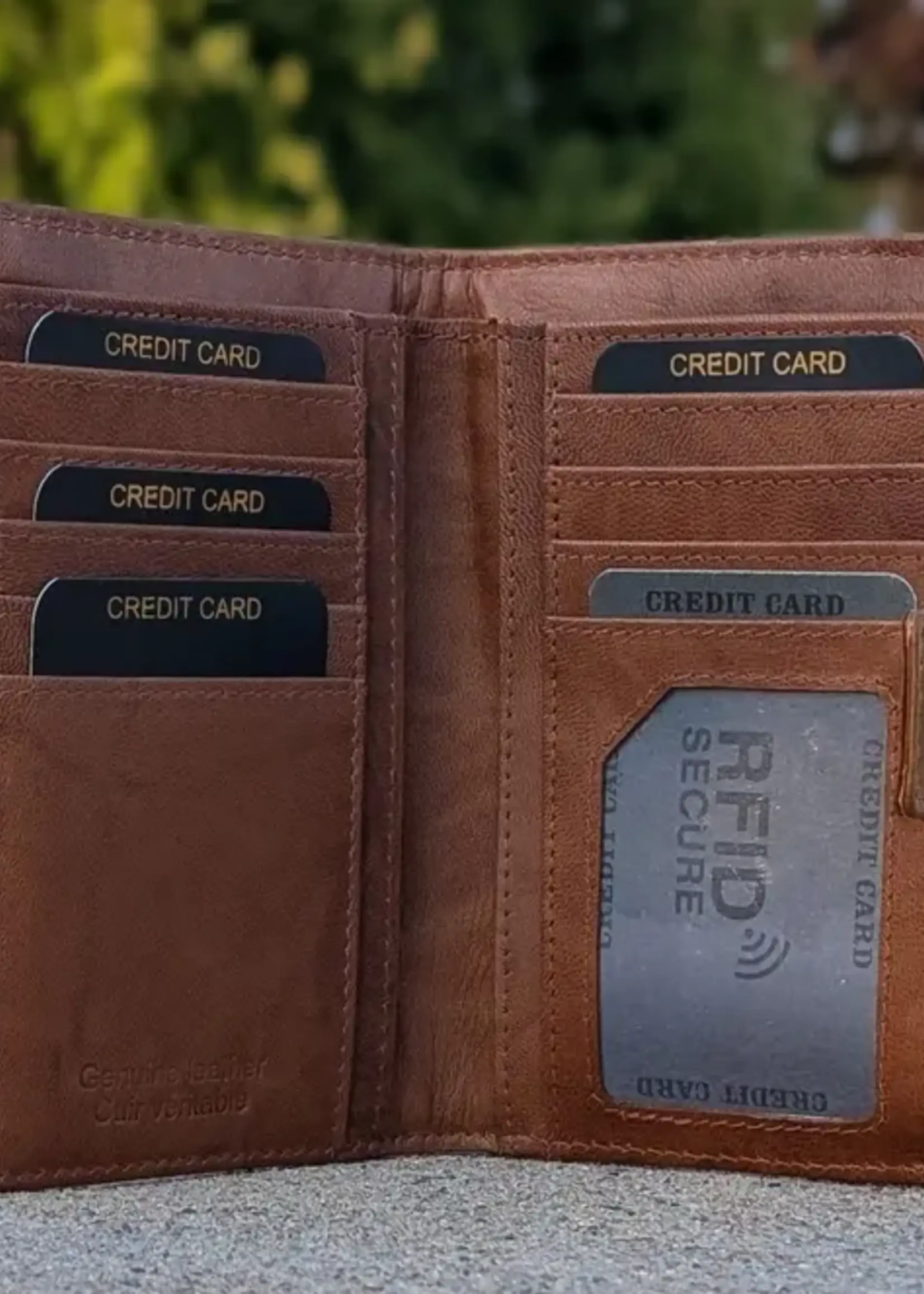 Alta Quero AQ 110 Leather RIFD Wallet