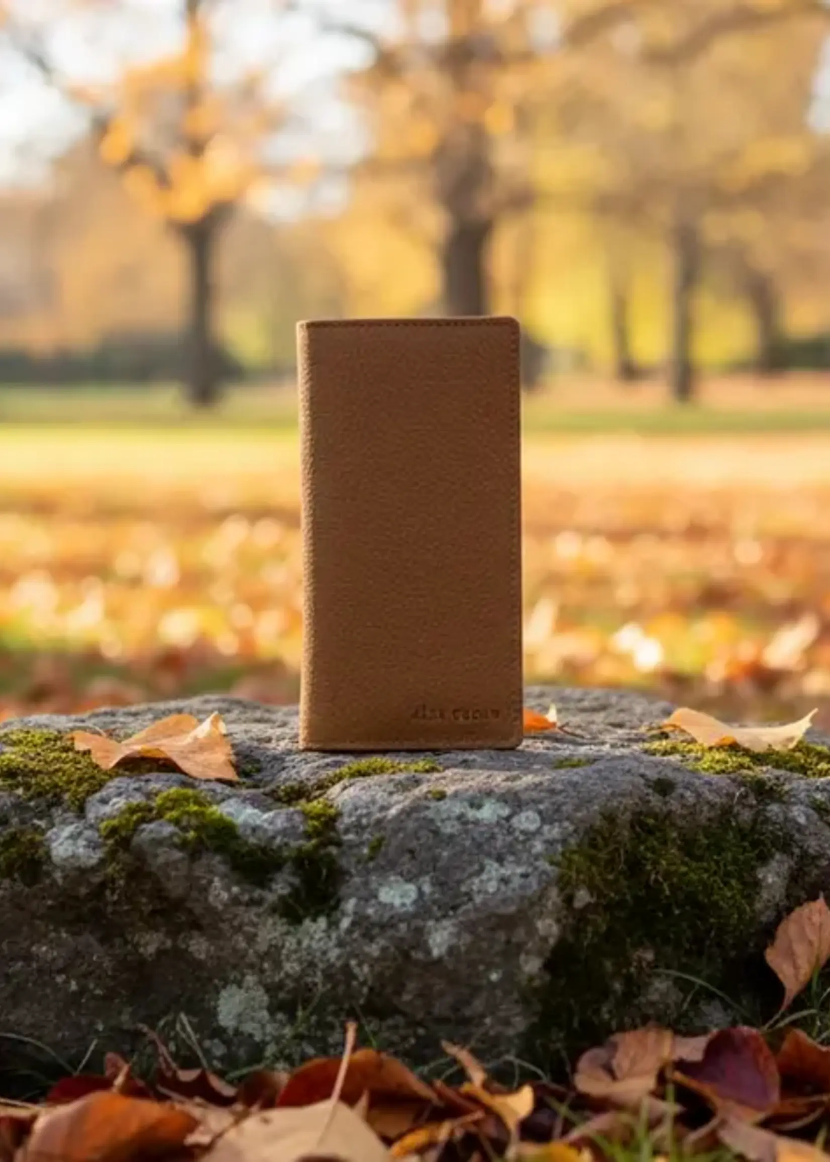 Alta Quero AQ 303 Leather RIFD Wallet