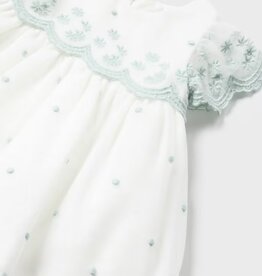 Cream Jade Embroidered Tulle Dress