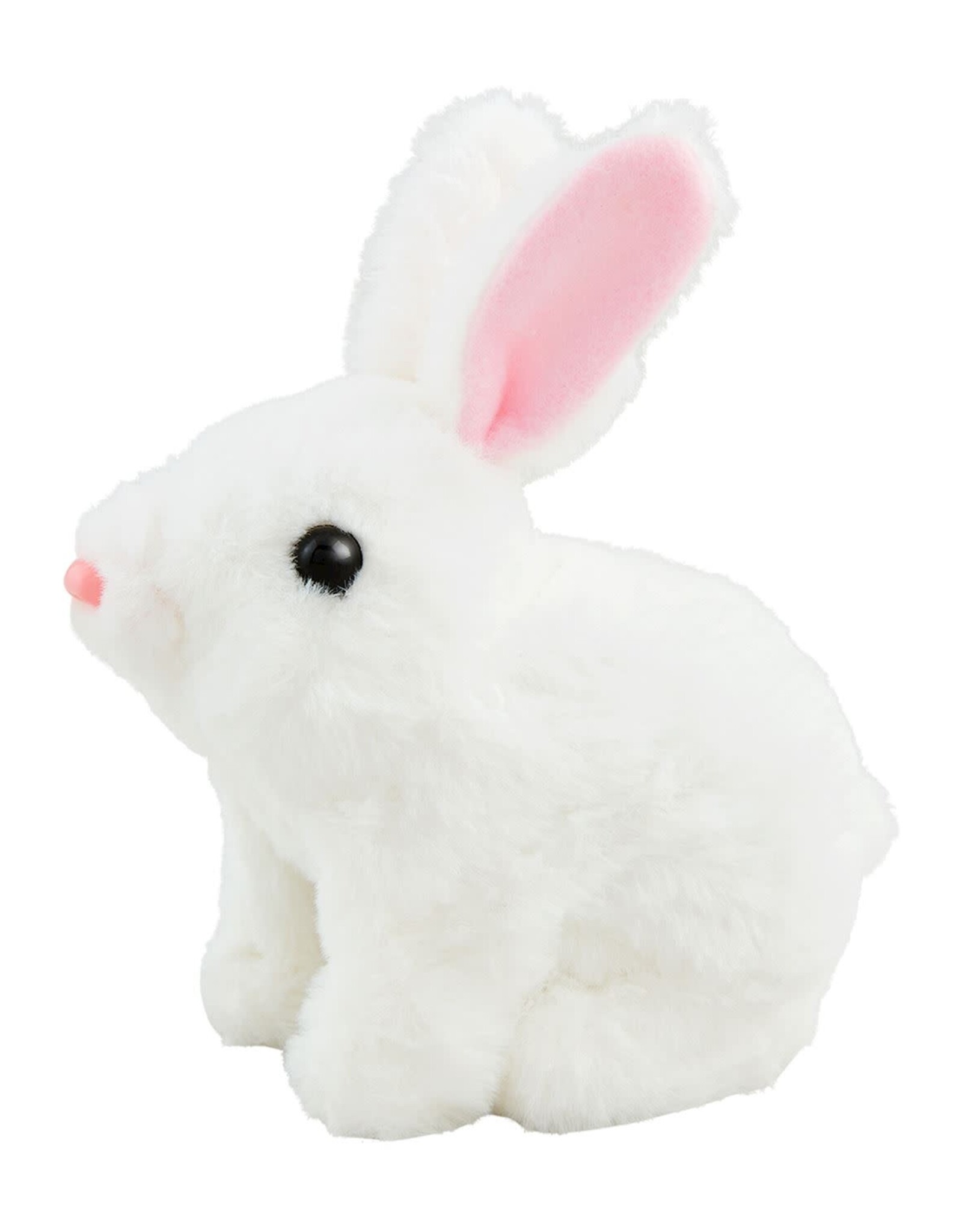 Hoppin Bunny