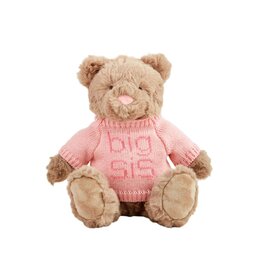 Big Sis Plush Bear