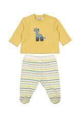 Dinosaur Top & Pants Set