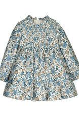 Blue bell Printed Velvet Dress