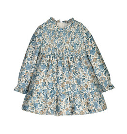 Blue bell Printed Velvet Dress