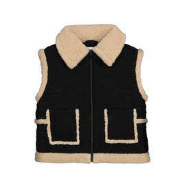 Sherpa Lined Vest