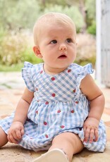 Gingham Strawberry Dress