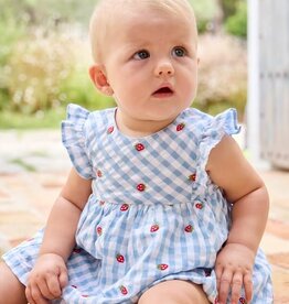 Gingham Strawberry Dress