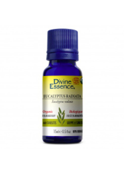 Divine essence Divine Essence - Huile essentielle bio - Eucalyptus radiata 15ml
