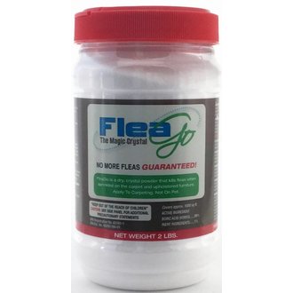 Flea Go The Magic Crystal