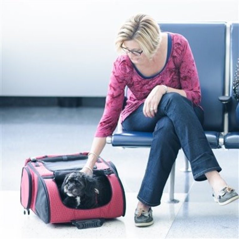 Gen7Pets RC1000 Roller Carrier for Cats