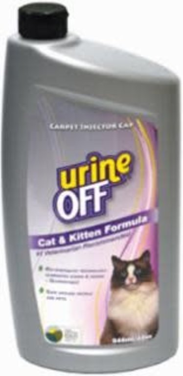 urine off cat