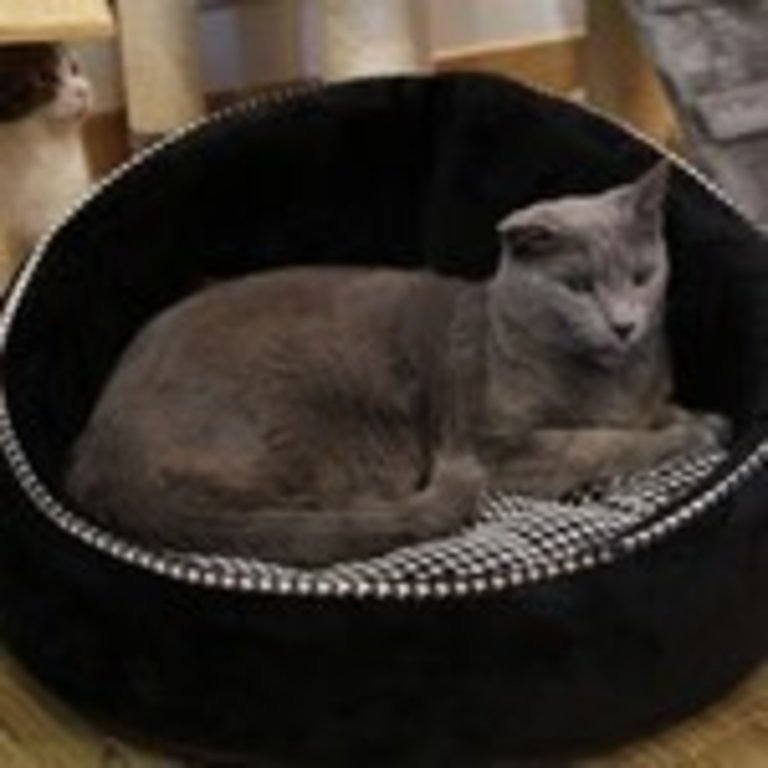 Catspia Love Nest Pet Bed