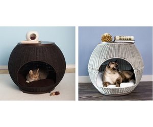 igloo cat bed