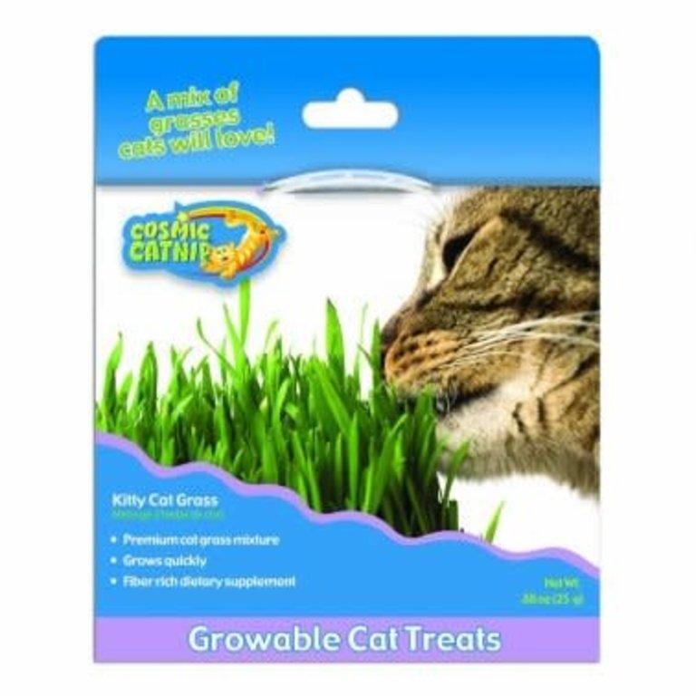 Cosmic Catnip Cosmic Catnip Kitty Cat Grass