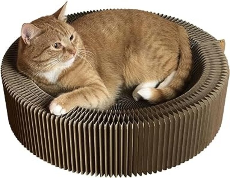 Travel Cat Accordion  Cat Travel Cardboard Bed and Scratcher