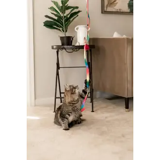 Cat Culture The Rainbow Dancer Cat Teaser Wand Toy
