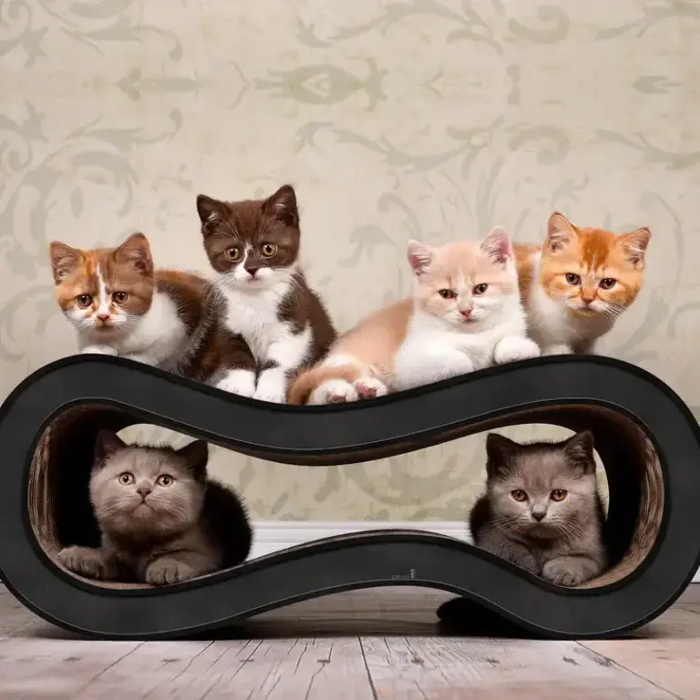 Cat-on Cat-On Shinga M Design Cat Scratcher Furniture - Black
