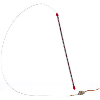 Go Cat Go Cat Catcher Cat Toy