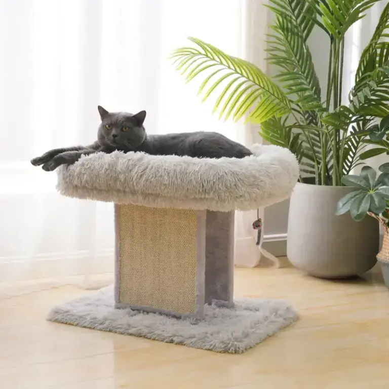PetPals Group Catry Ivory Large Cat Bed W Scratching Post