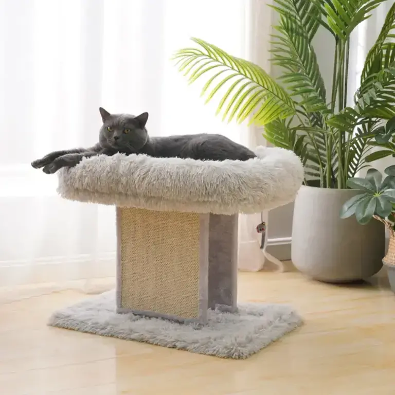 PetPals Group PetPals Catry Ivory Large Cat Bed W Scratching Post