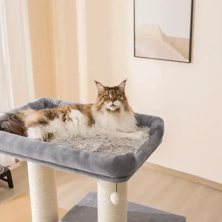 PetPals Group Petpals Lulu Contemporary Minimalist Design Cat House