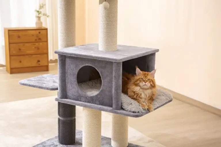 PetPals Group Petpals Lulu Contemporary Minimalist Design Cat House