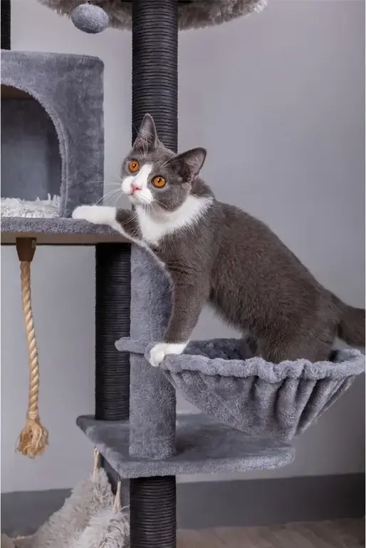 PetPals Group PetPals Catry Bradbury 7 Level Gray Cat Tree