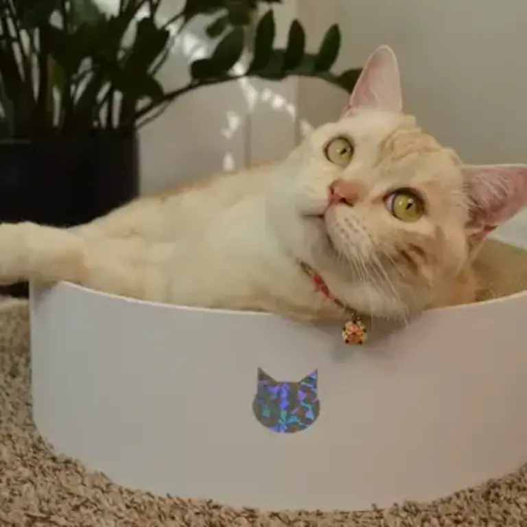 MOON-X USA, INC. Cozy Cat Scratcher Bowl XL - Hologram White