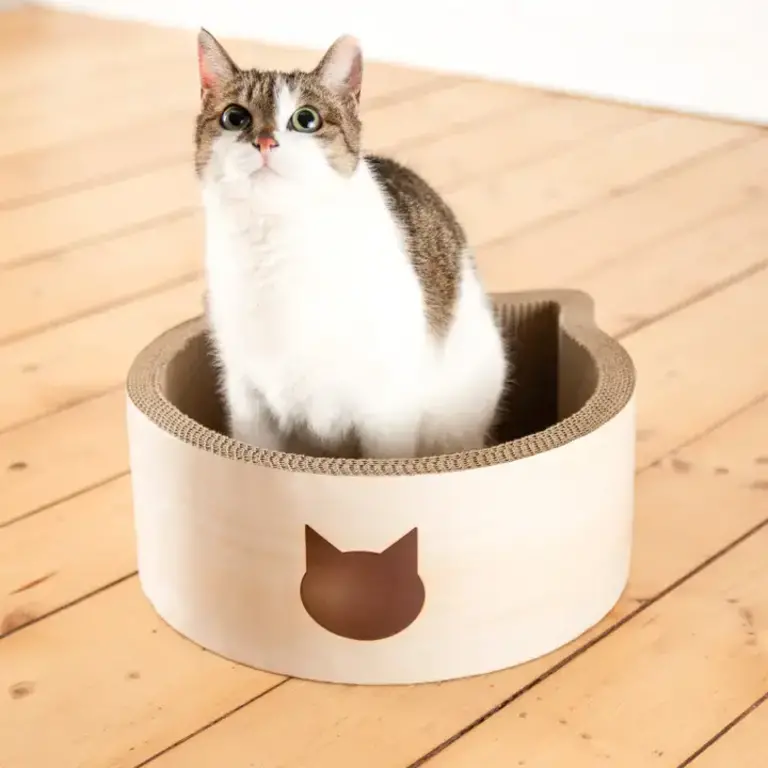 Necoichi Cat-Headed Scratcher Bed - Birch
