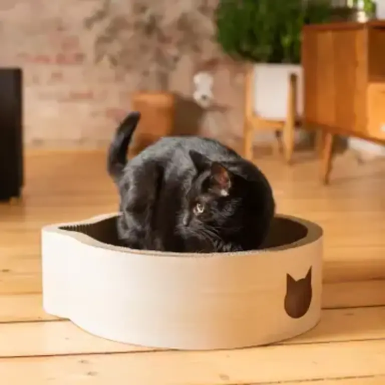 Necoichi Cat-Headed Scratcher Bed - Birch
