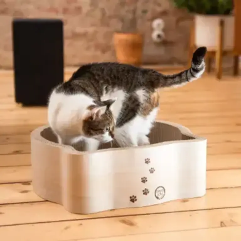 Necoichi Cat-Headed Scratcher Bed - Birch