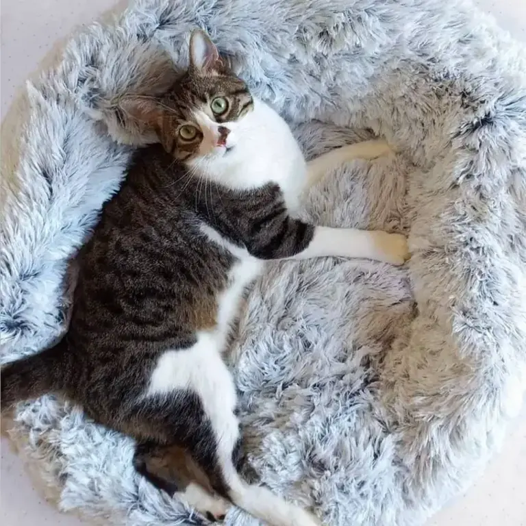 Mr. Peanut's Mr. Peanuts 28" Orthoplush Pet Bed - Snowflake White Two Tone