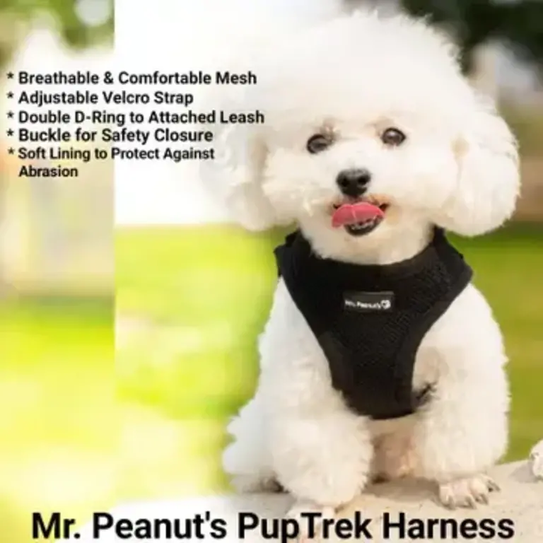 Mr. Peanut's Mr Peanuts Pup Tre Small Dog/Cat Soft Mesh Step in Harness - Black XS
