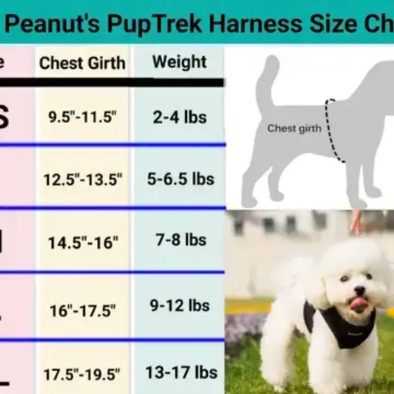 Mr. Peanut's Mr Peanuts Pup Trek Small Dog/Cat Soft Mesh Step in Harness - Black S