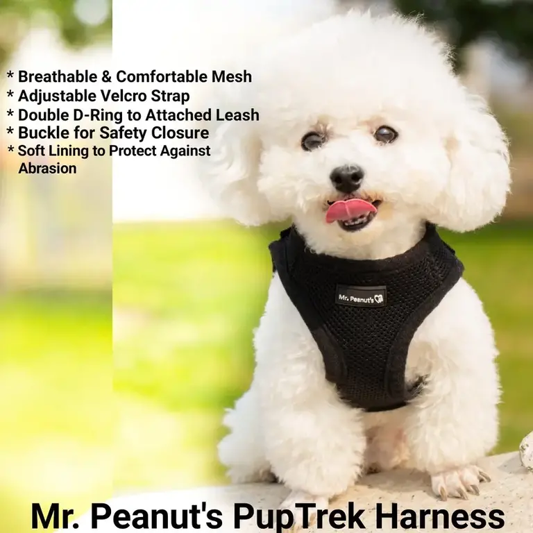 Mr. Peanut's Mr Peanuts Pup Tre Small Dog/Cat Soft Mesh Step in Harness - Black M