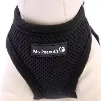 Mr. Peanut's Mr Peanuts Pup Trek Small Dog/Cat Soft Mesh Step in Harness - Black L