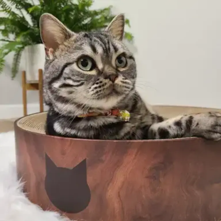MOON-X USA, INC. Cozy Cat Scratcher Bowl XL - Dark Cherry