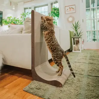 MOON-X USA, INC. Premium Comfort Scratcher Wall - Dark Cherry - Large