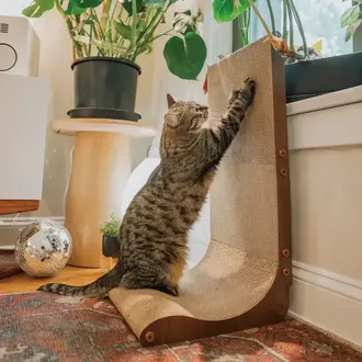 MOON-X USA, INC. Premium Comfort Scratcher Wall - Dark Cherry - Regular