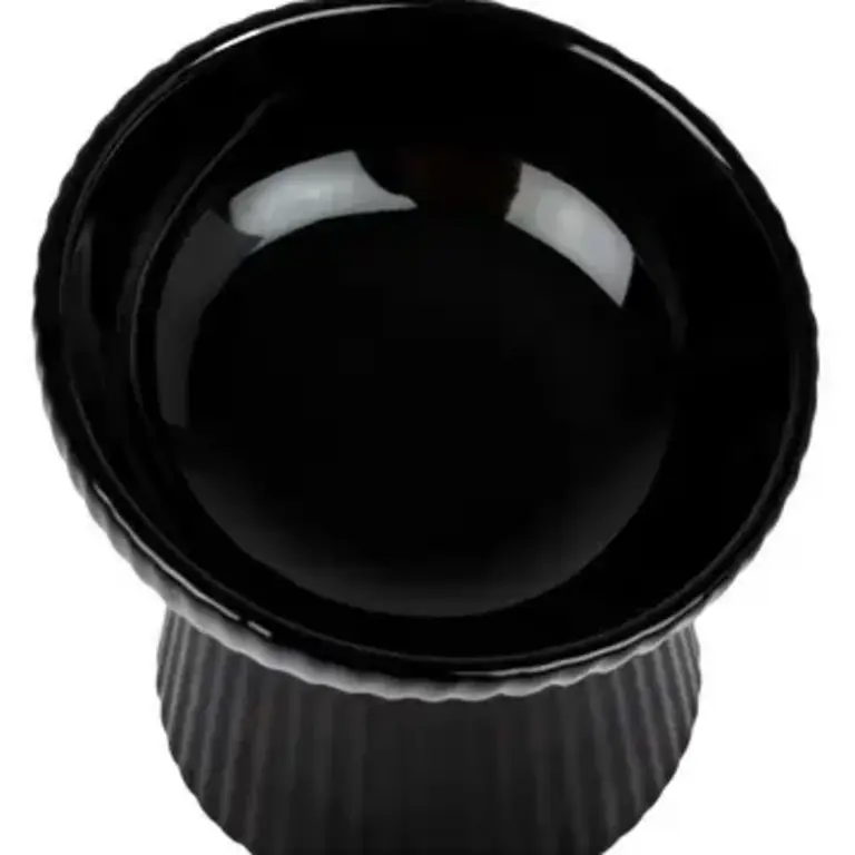 Park Life Designs Fluted Tilt Ceramic Cat Dish - Black