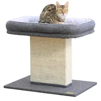 PetPals Group PetPals Catry 2-in-1 Mellow Cat Perch Bed and Sisal