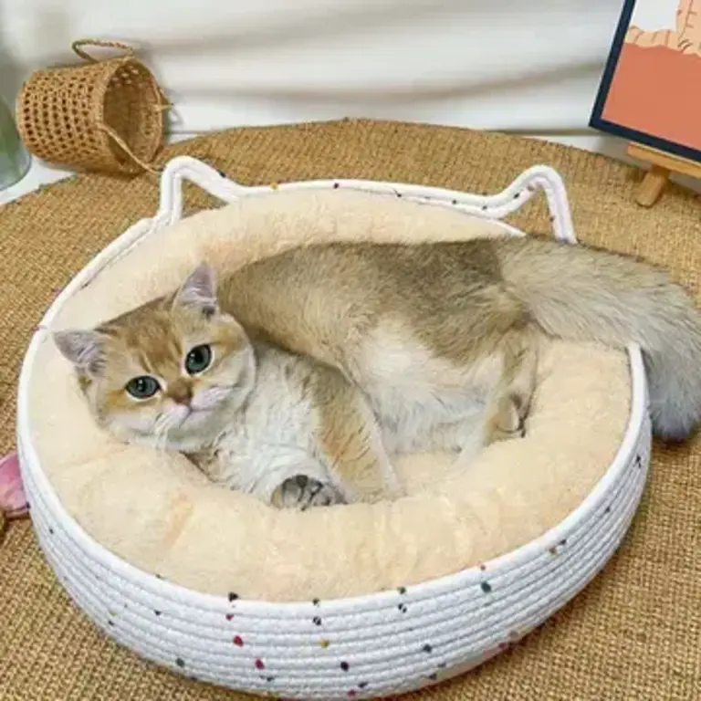 PawPaw Rattan Pet Bed - Apricot - Large
