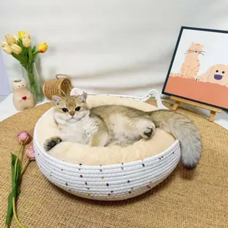PawPaw Rattan Pet Bed - Apricot - Large