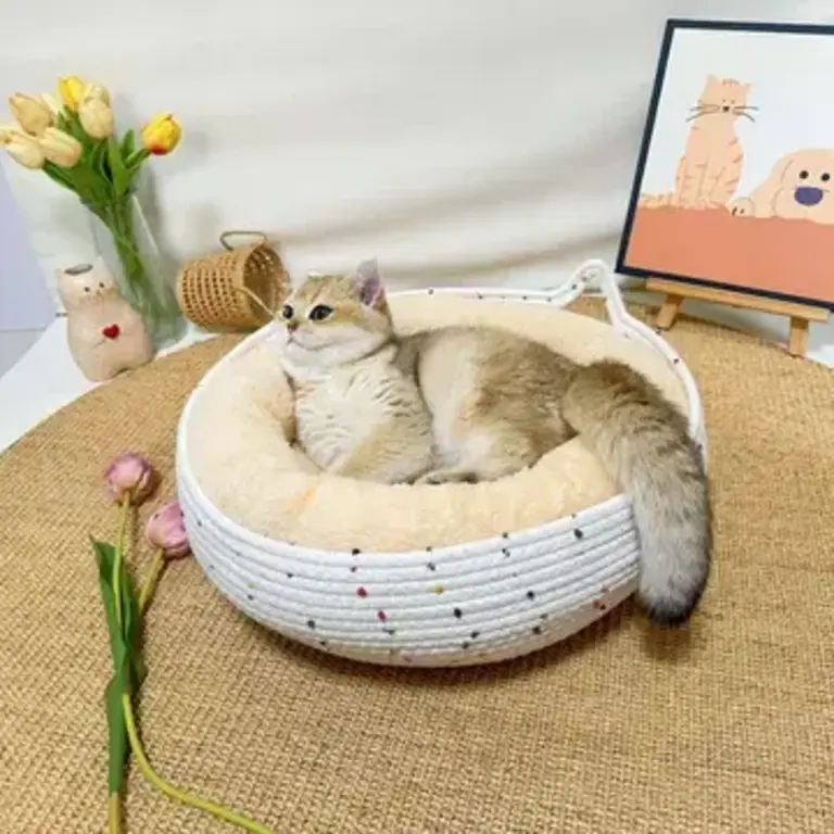 PawPaw Rattan Pet Bed - Apricot - Large