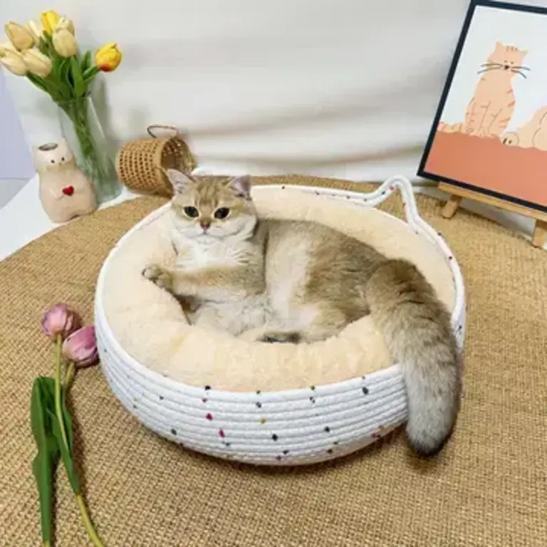 PawPaw Rattan Pet Bed - Apricot - Medium