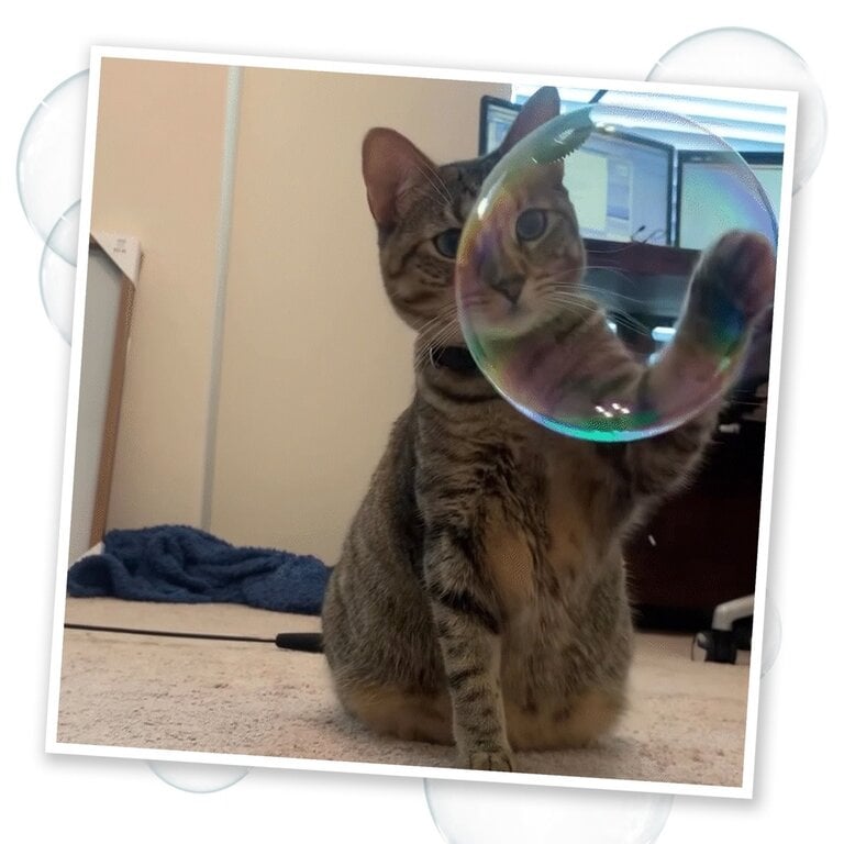 SmarterPaw Meowijuana 5oz Catnip Bubbles with Honeysuckle