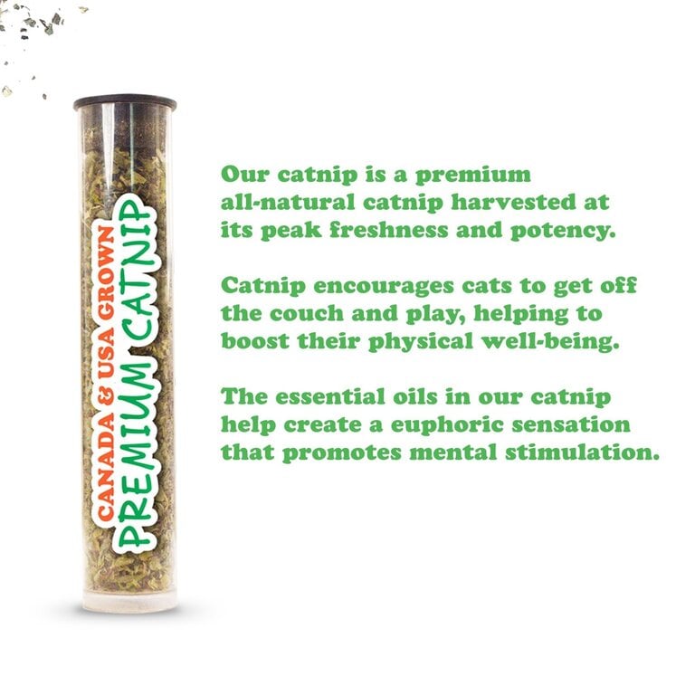 SmarterPaw Meowijuana Get Buzzed Refillable Bee Toy